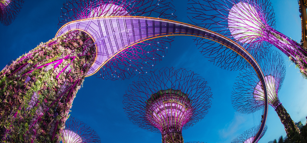 Singapore Supertrees